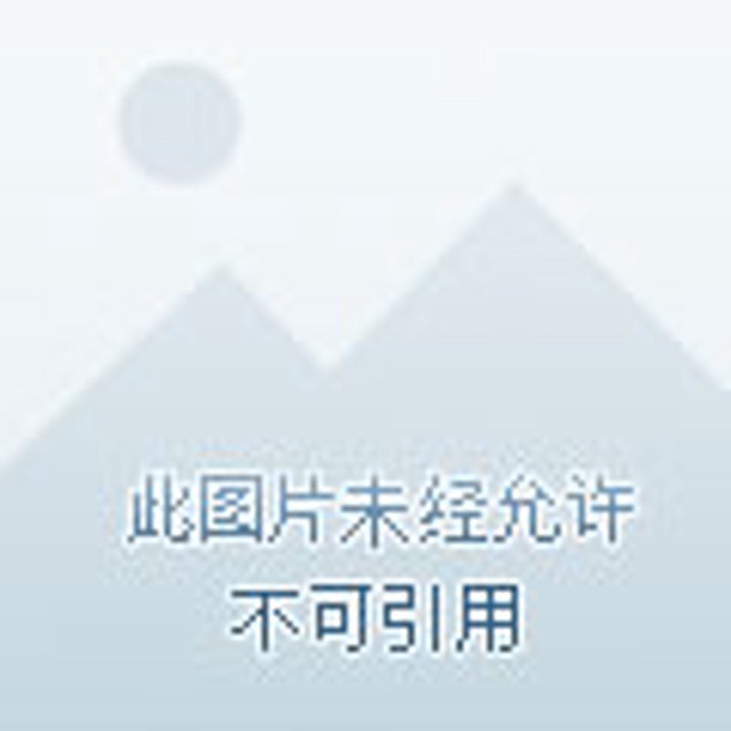 外贸网站制作：开启国际市场的金钥匙